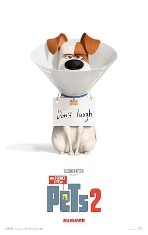 Poster for The Secret Life of Pets 2