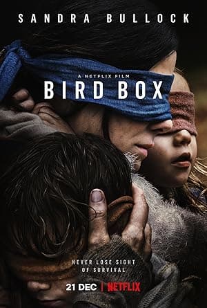 Poster for Bird Box