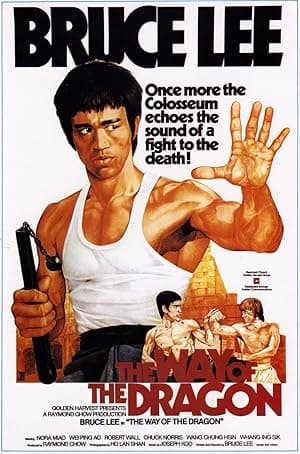 Poster for Way of the Dragon